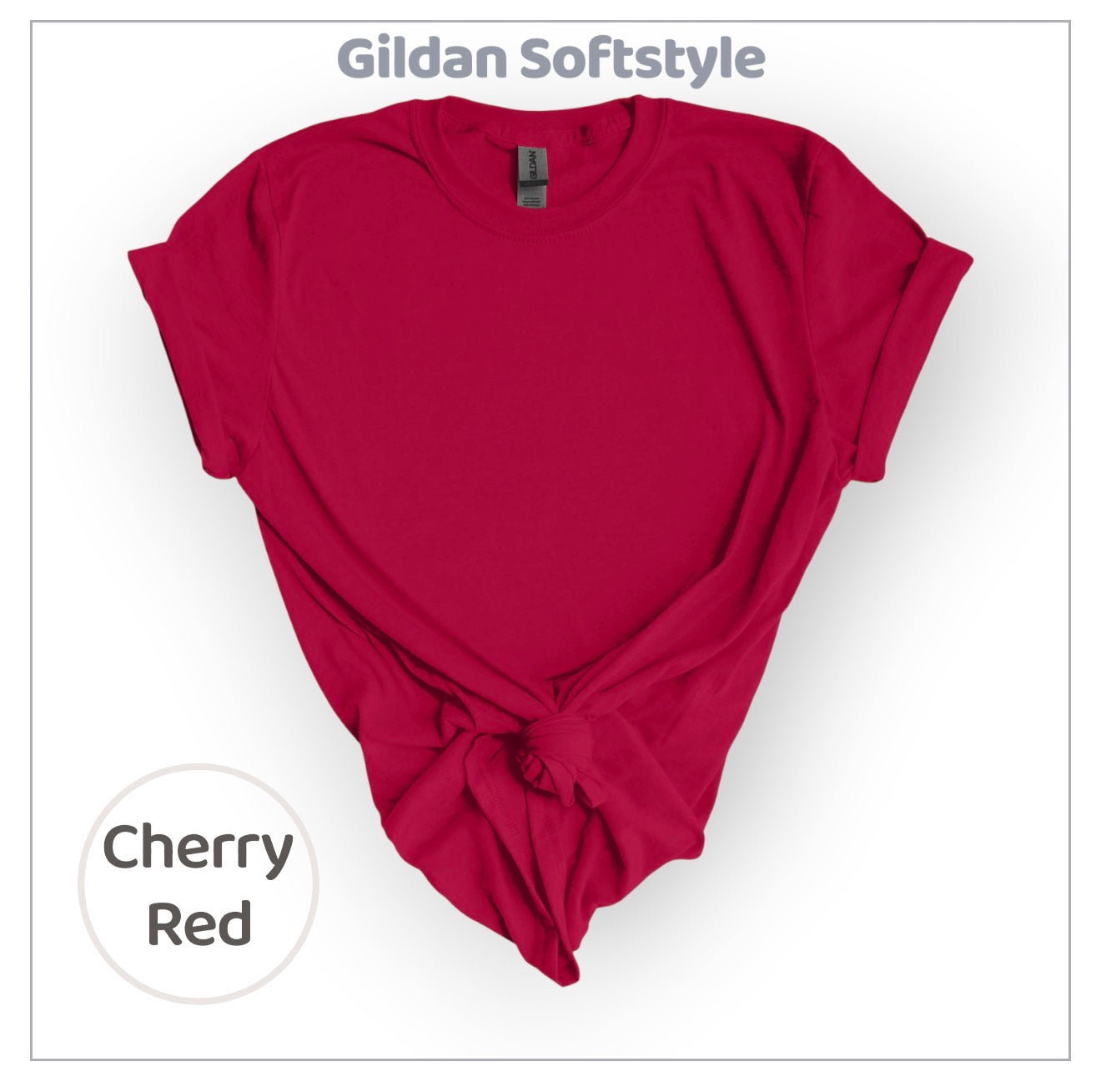 Checks & Smiley Grades GILDAN SOFTSTYLE Youth Tees | Put GRADE in note box! Pre-K to 4th