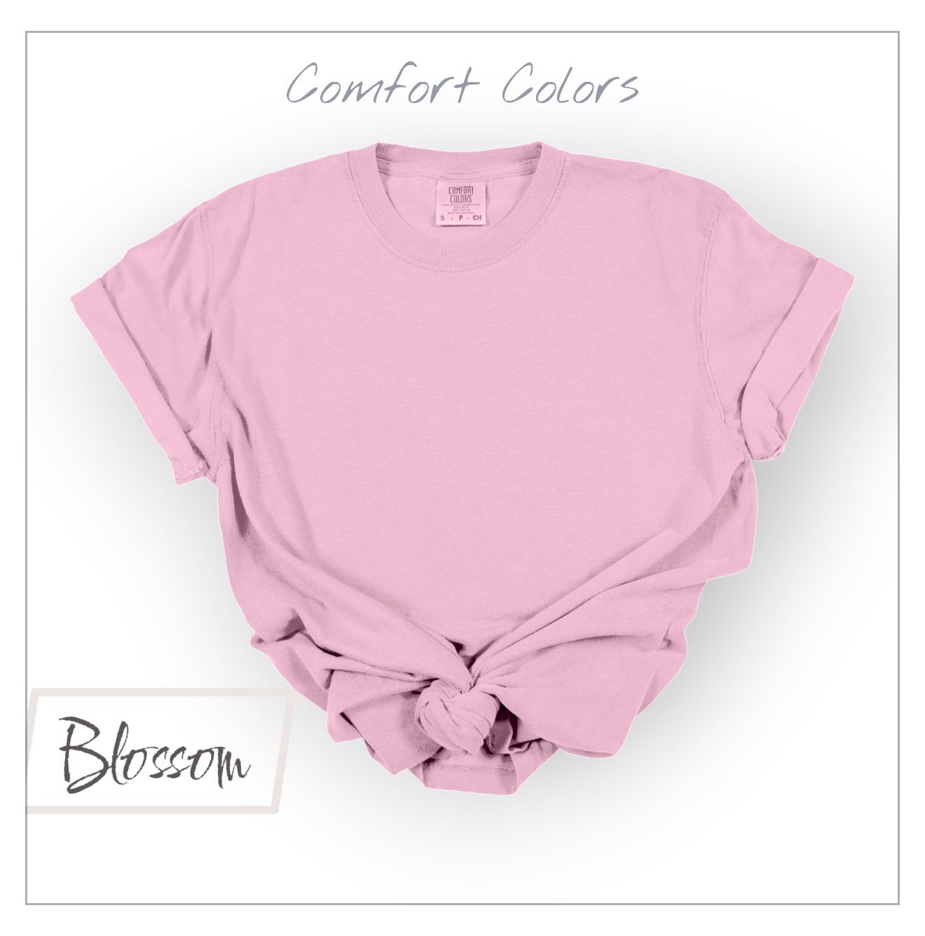 Checks & Smiley Grades COMFORT COLORS Tees | Youth Only | Put GRADE in note box! Pre-K to 4th