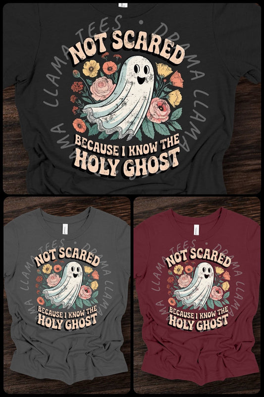 Distressed Not Scared Because I Know The Holy Ghost Tees & Sweatshirts *Pre-Order: * DLTPO