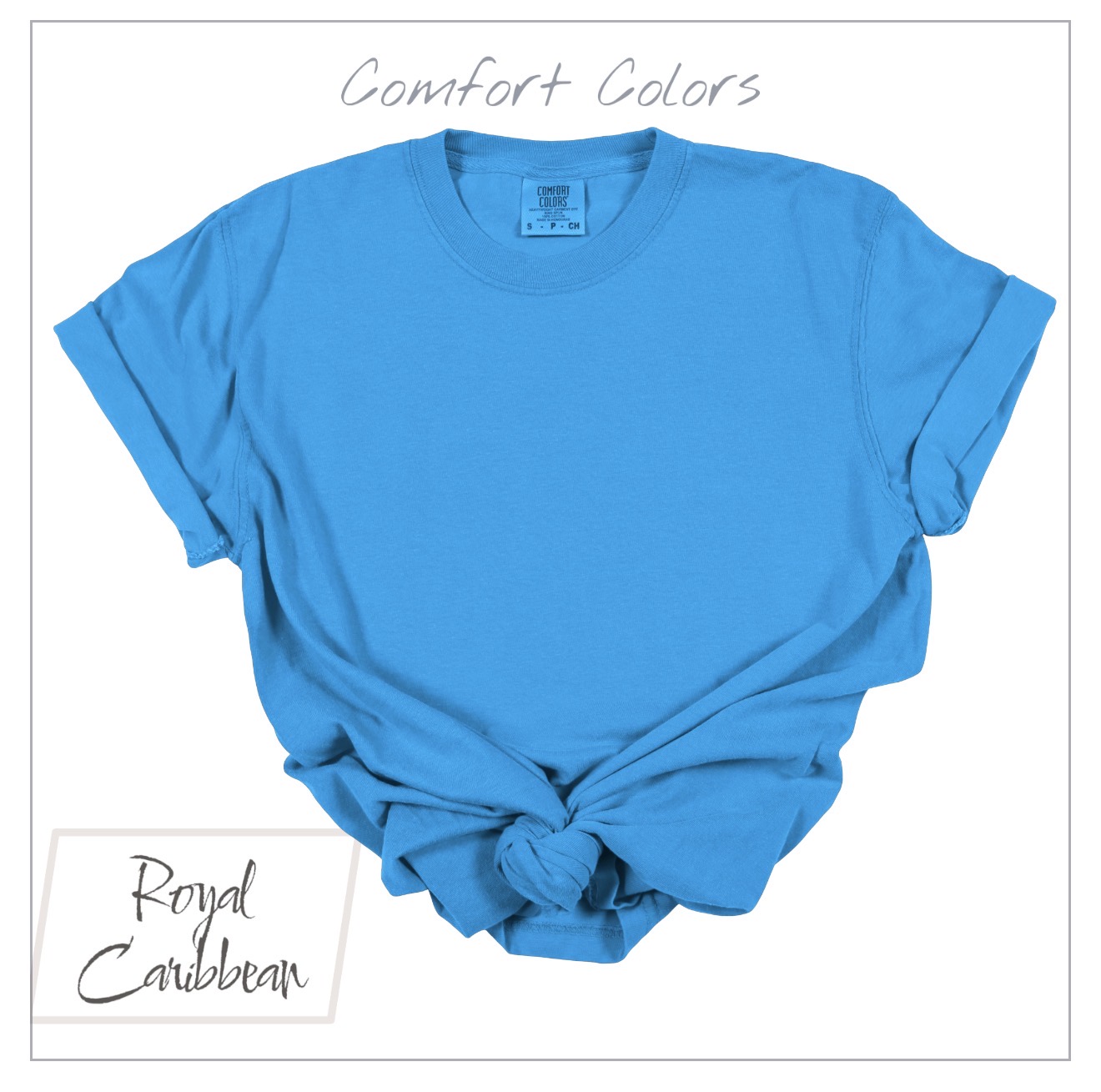Checks & Smiley Grades COMFORT COLORS Tees | Youth Only | Put GRADE in note box! Pre-K to 4th