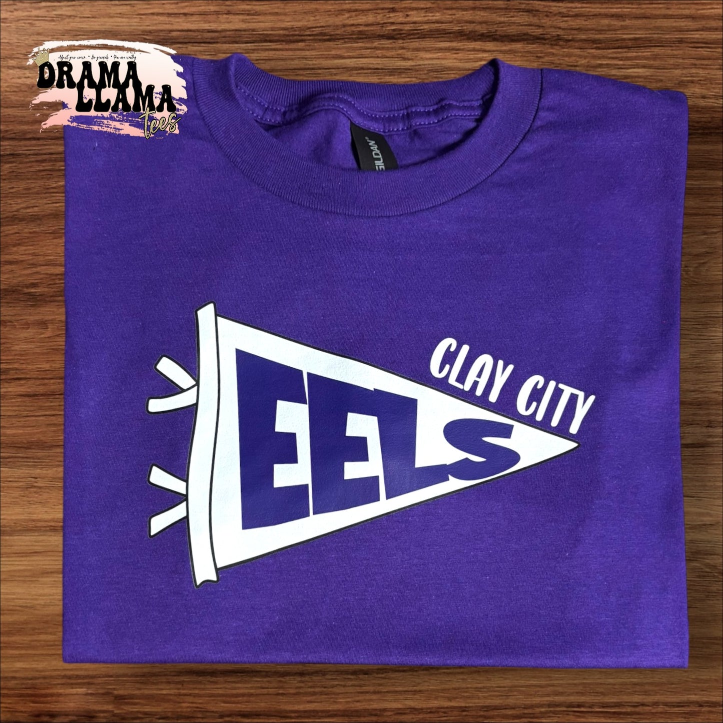 Pennant NO BOW Spirit GILDAN SOFTSTYLE Tees | Put team name/info in note box!!