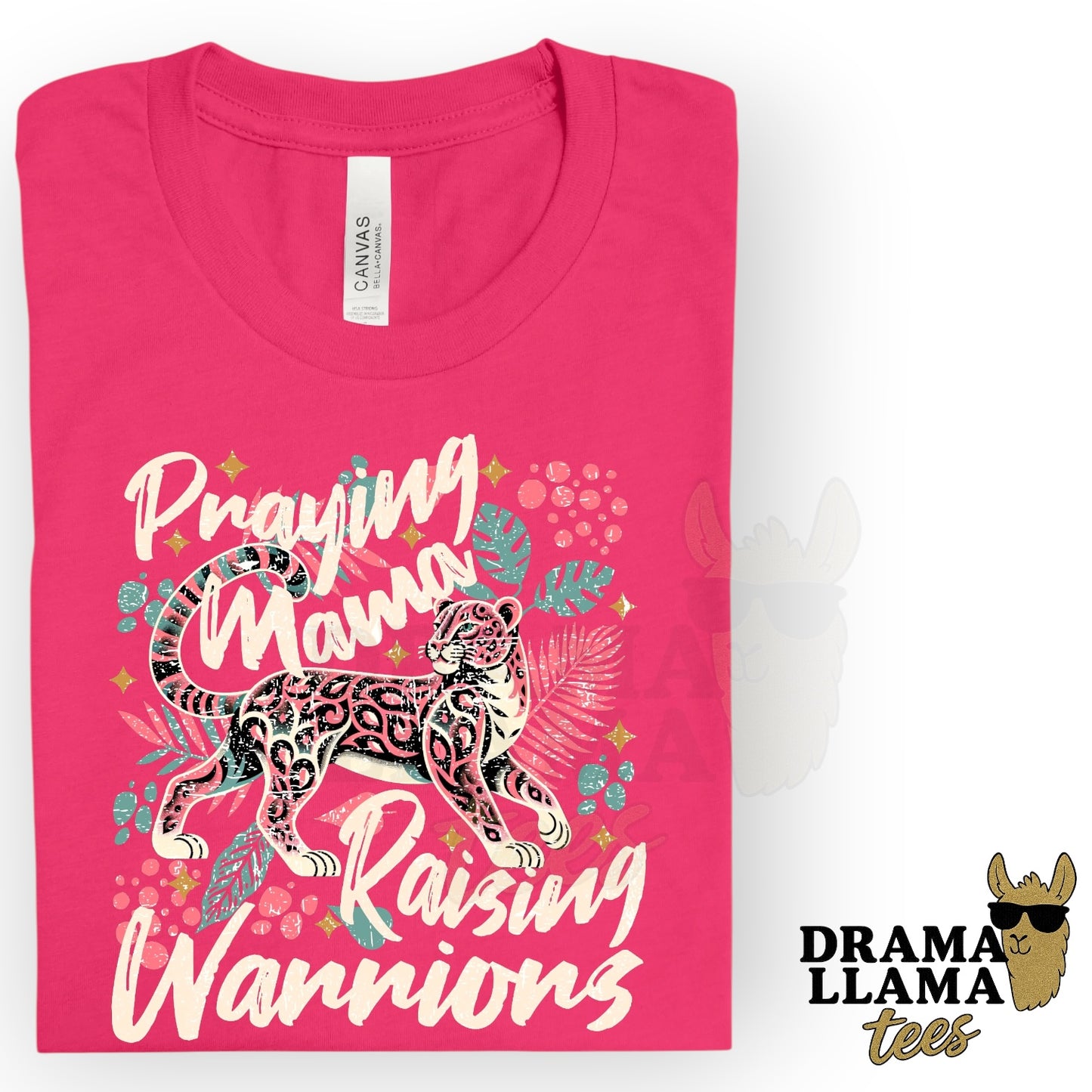 Praying Mama Raising Warriors: DLTPO