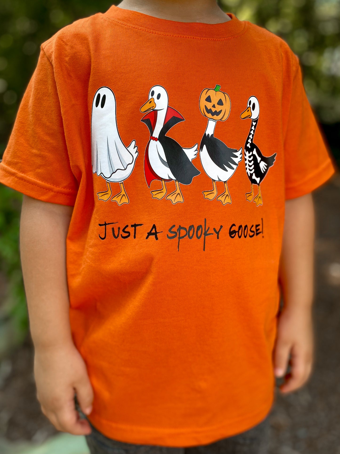 Just A Spooky Goose ~DLTPO