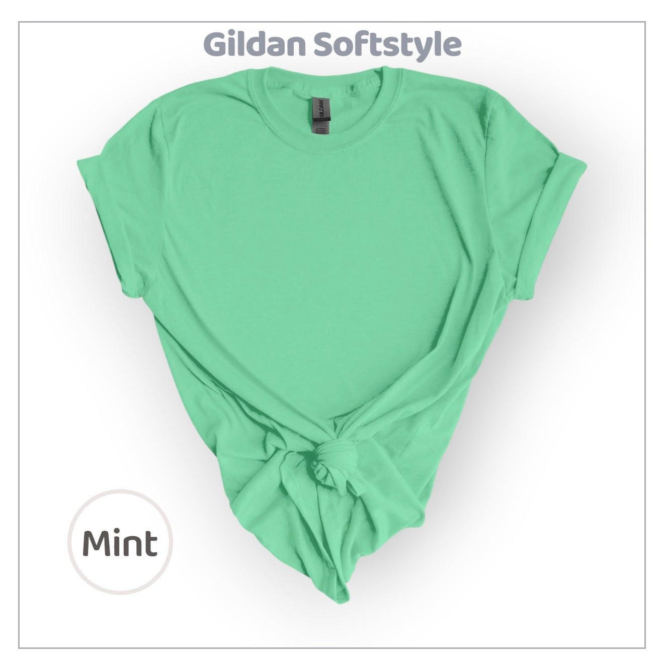 Pennant NO BOW Spirit GILDAN SOFTSTYLE Tees | Put team name/info in note box!!