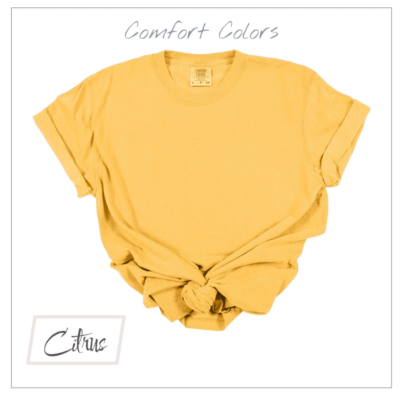 Checks & Smiley Grades COMFORT COLORS Tees | Youth Only | Put GRADE in note box! Pre-K to 4th